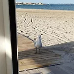 Sunrise Parrot Oasis Торевьиа
