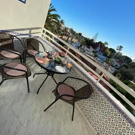 Sunrise Parrot Oasis *