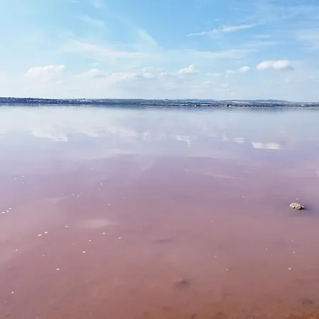 Apartment Sunrise Parrot Oasis Torrevieja