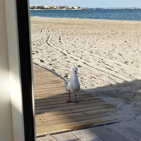 Sunrise Parrot Oasis Torrevieja