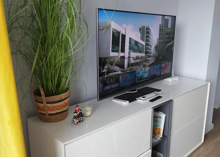 Apartment Sunrise Parrot Oasis