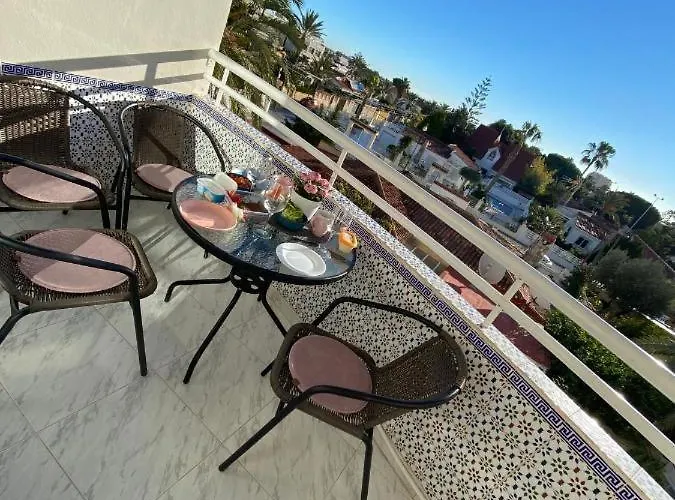 Sunrise Parrot Oasis *