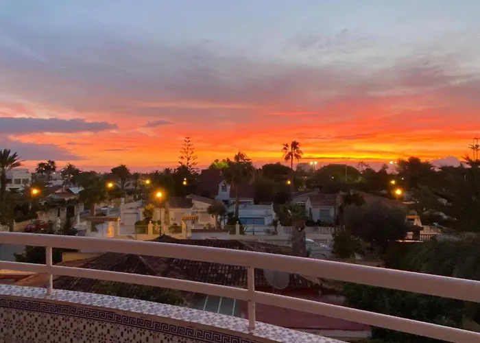 Sunrise Parrot Oasis Apartment Torrevieja