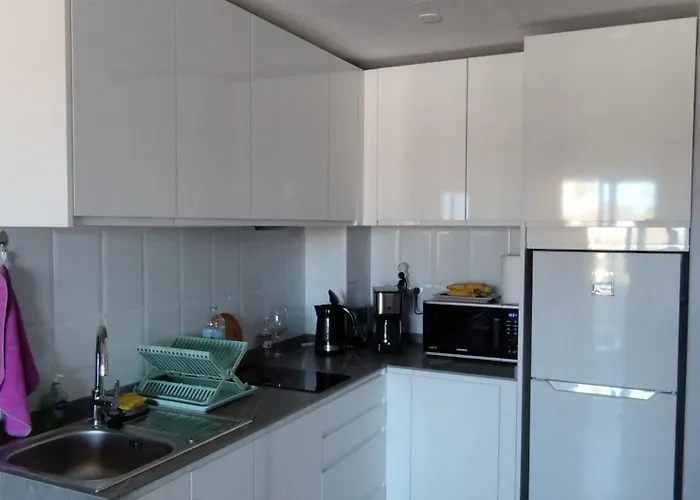 Sunrise Parrot Oasis *