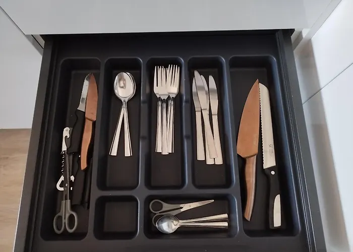 Sunrise Parrot Oasis Torrevieja