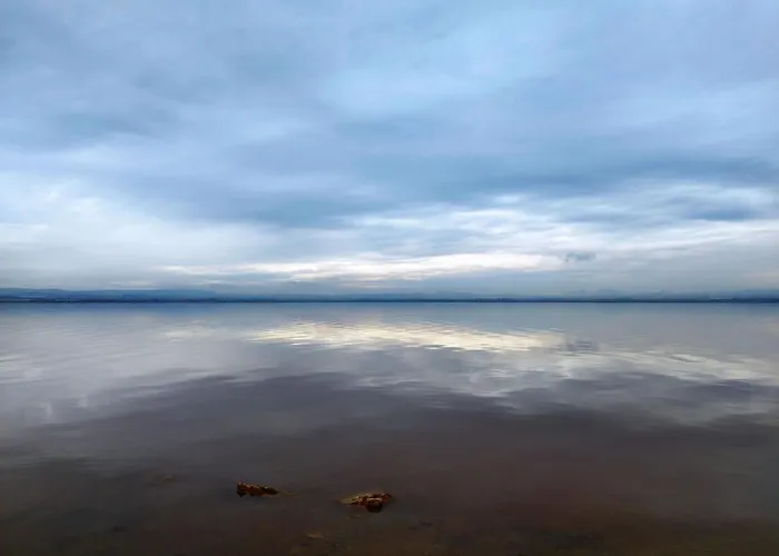 Apartment Sunrise Parrot Oasis Torrevieja