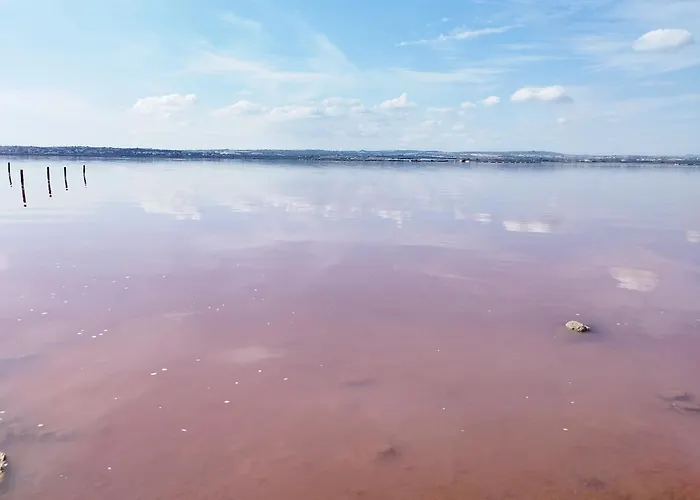 Apartment Sunrise Parrot Oasis Torrevieja