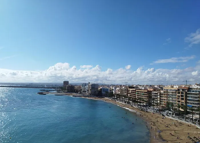 Sunrise Parrot Oasis