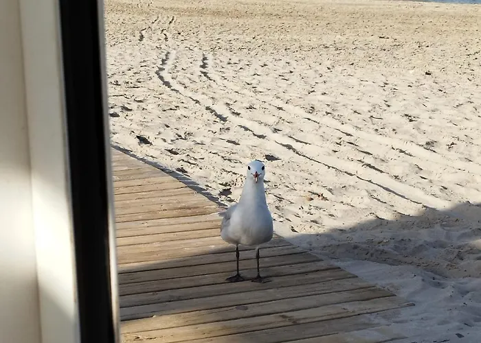 Sunrise Parrot Oasis Torrevieja